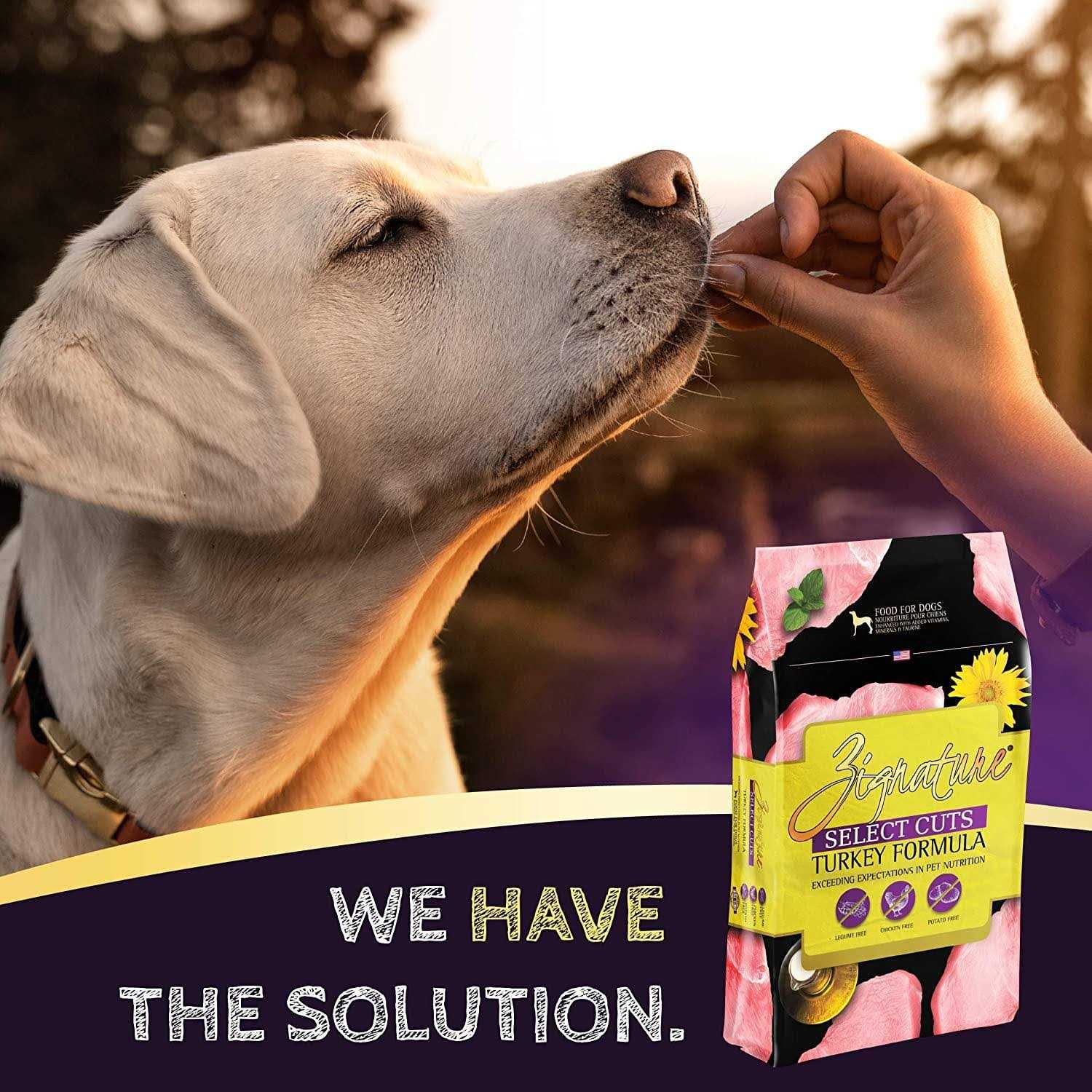 Zignature Select Cuts Turkey Formula Dry Dog Food - Healthber