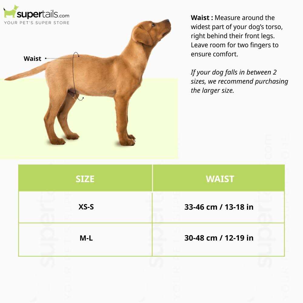 OUT! PetCare Disposable Male Dog Diapers - Healthber