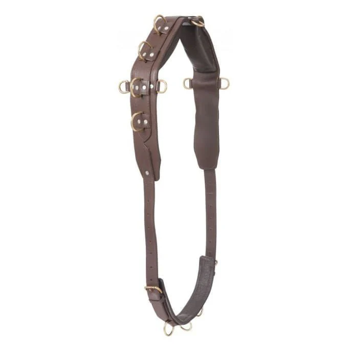 Professional Heavy Leather Surcingle - Healthber