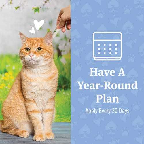 PetArmor Plus Flea and Tick Treatment for Cats - Healthber