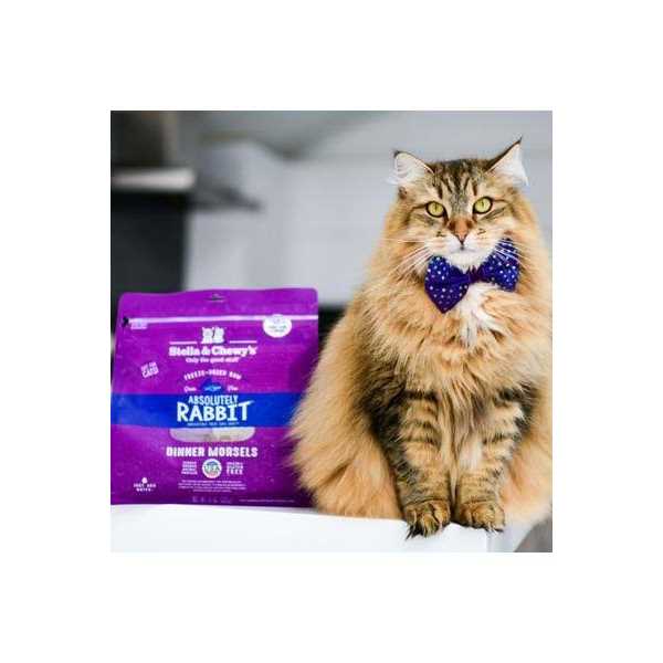 Stella & Chewy’s Dinner Yummy Lickin’ Salmon Chicken Freeze-Dried Cat Food - Healthber