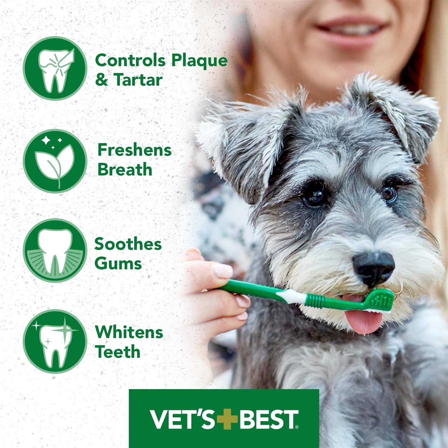 Vet’s Best Dental Gel Toothpaste - Healthber