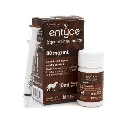 Entyce Oral Solution 30mg/ml - Healthber