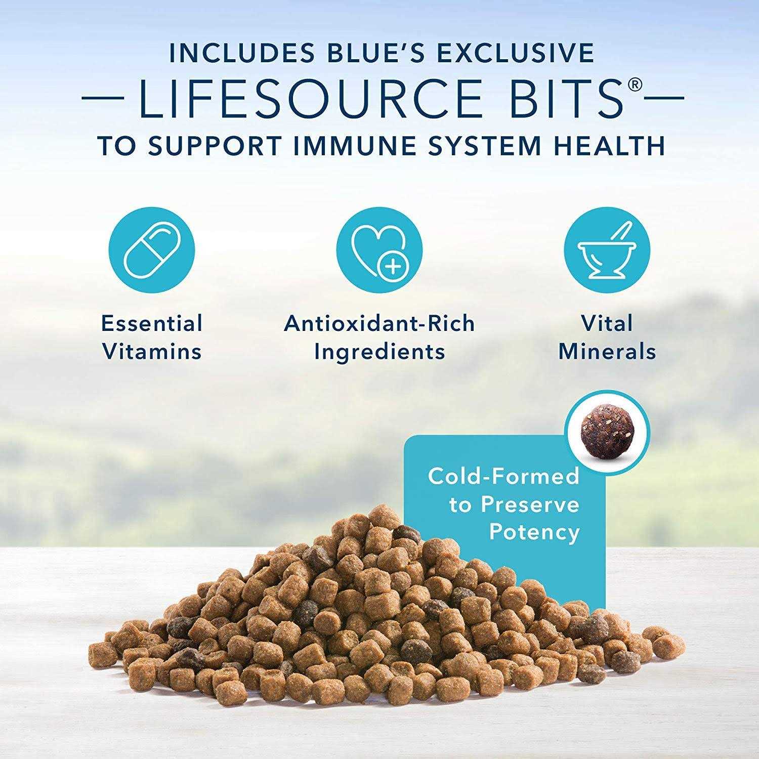 Blue Indoor Hairball & Weight Control Adult Cat Dry Food - Healthber