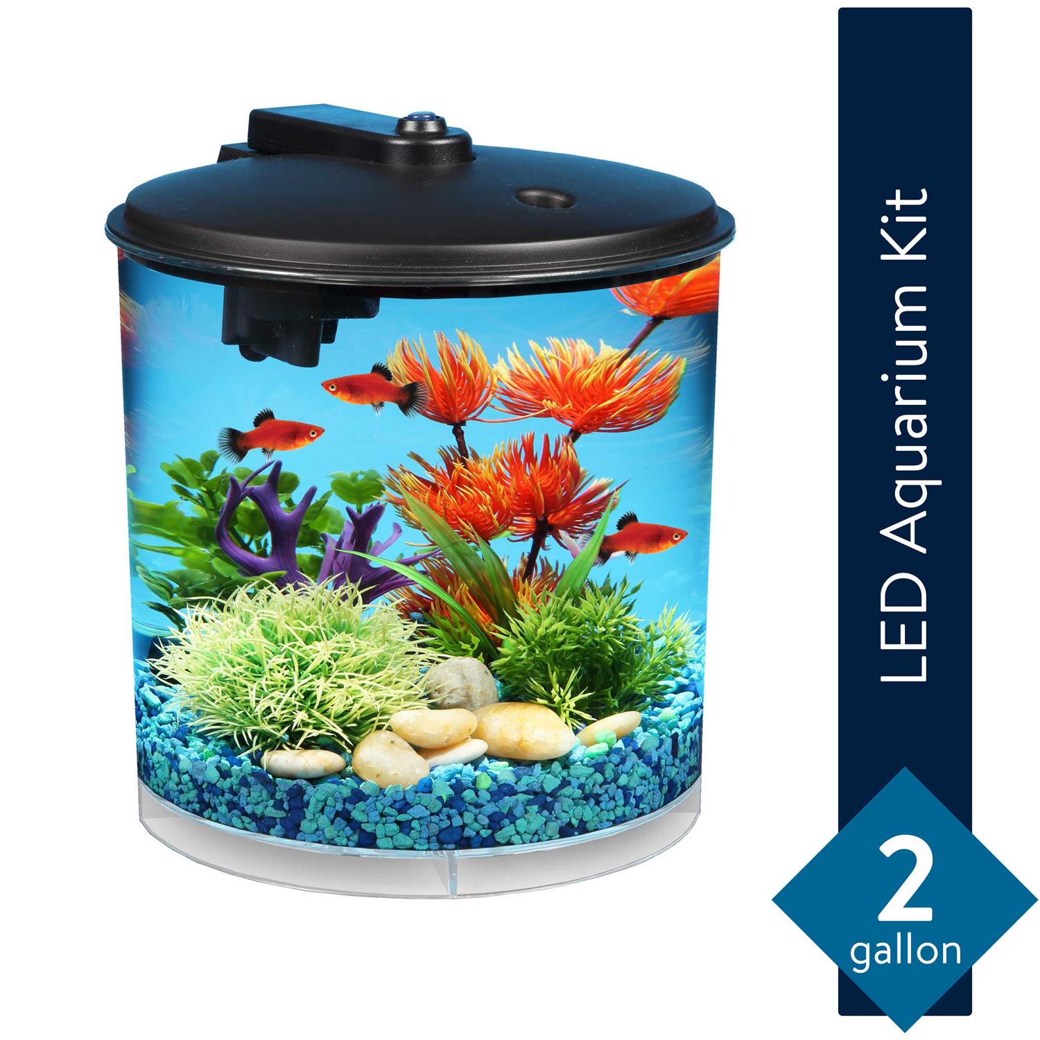 Koller Products AquaView 2-Gallon Plastic 360 Aquarium with Power Filter & LED Lighting for Tropical Fish – Betta Fish - Healthber