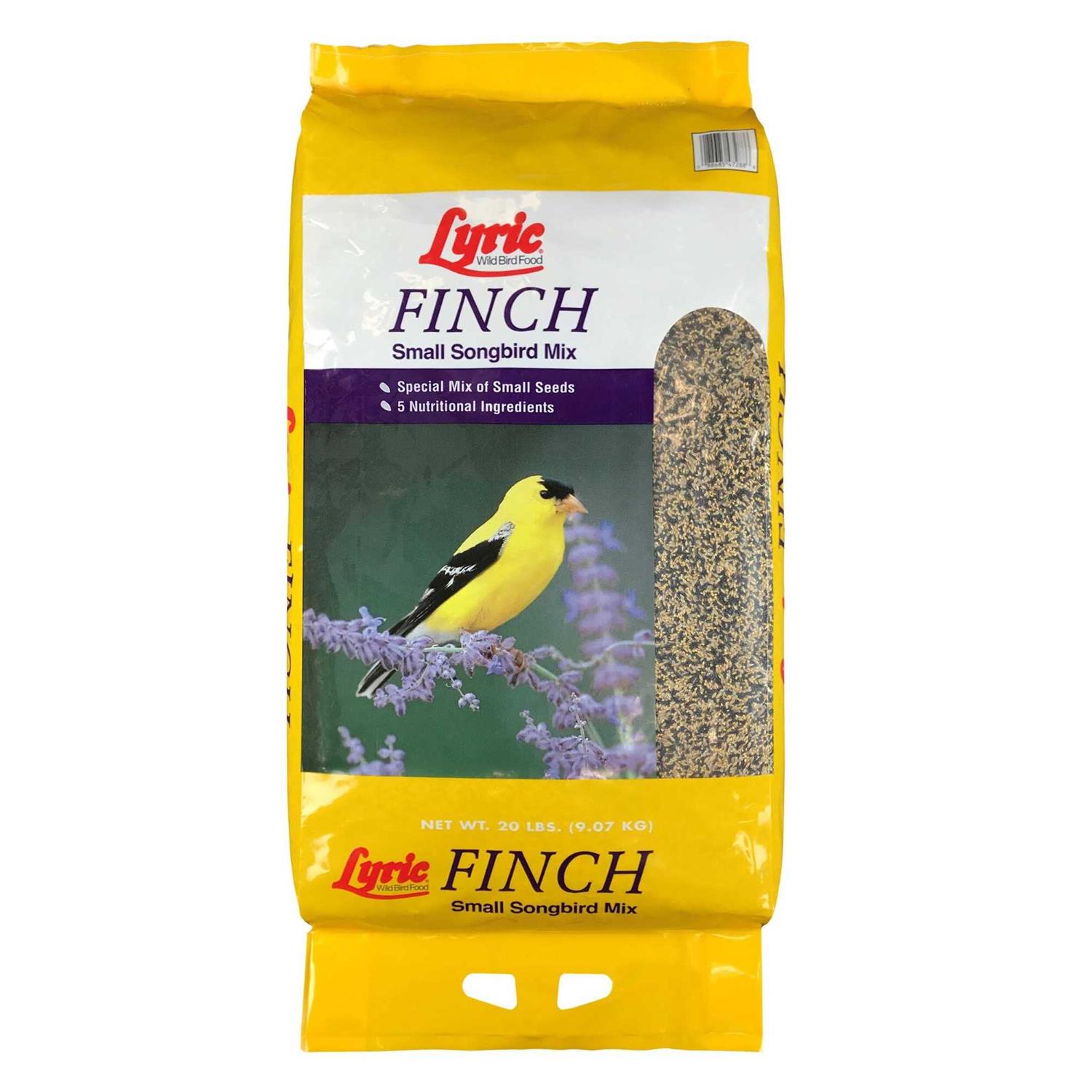 Lyric Finch Small Songbird Wild Bird Food - Healthber