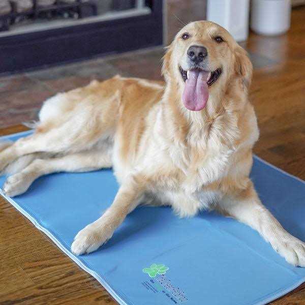 Green Pet Shop Cool Pet Pad - Healthber
