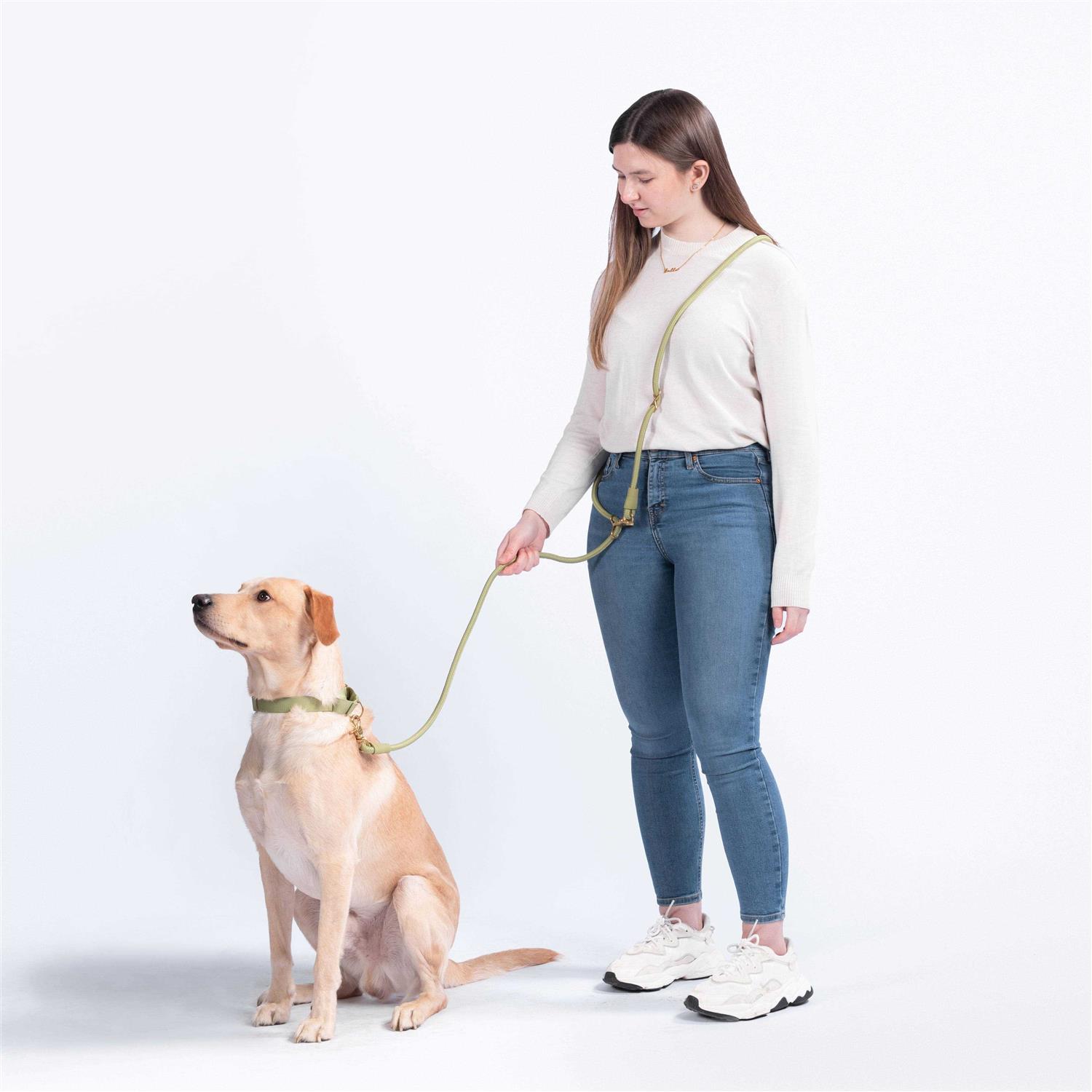 Awoo Infinity Leash - Healthber