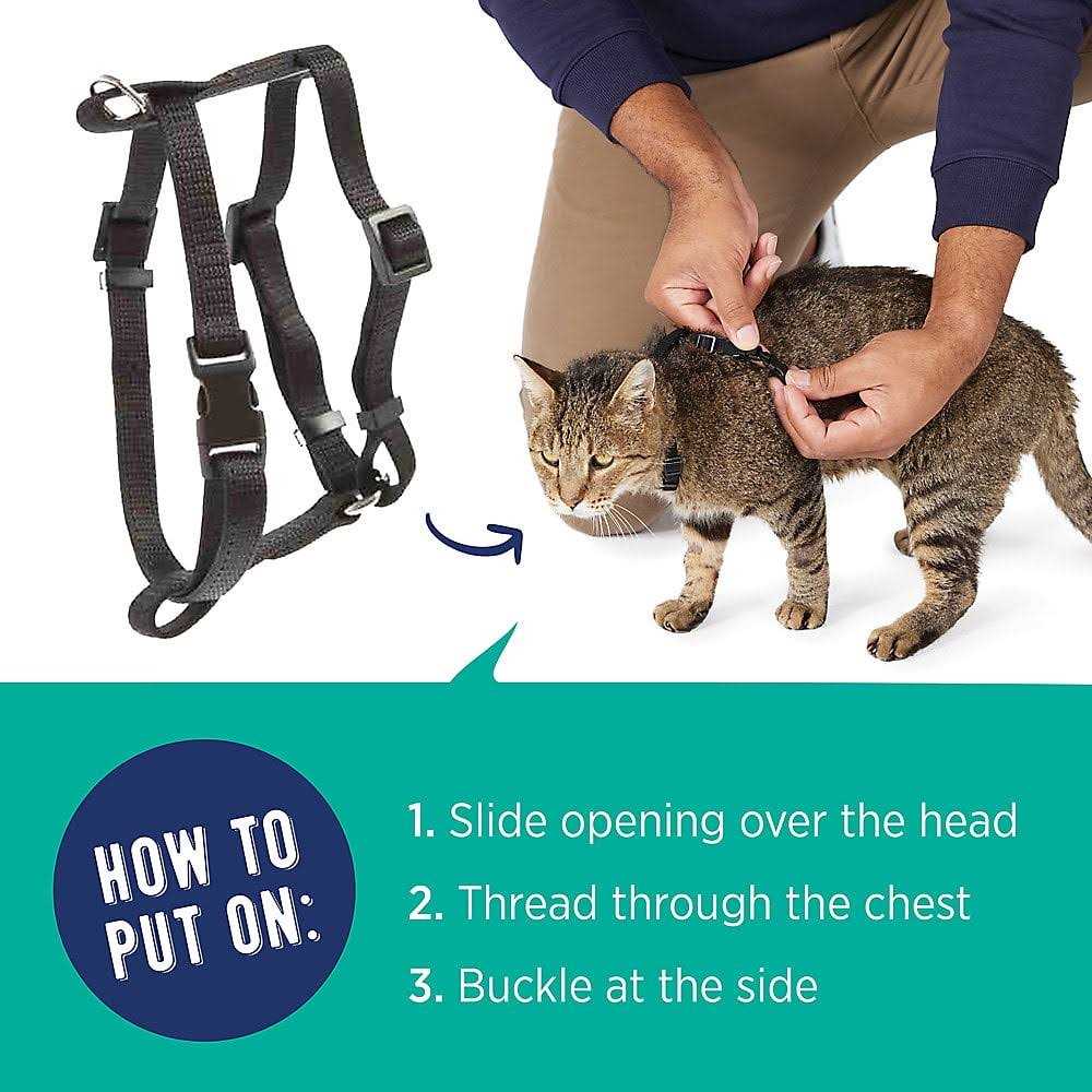 Whisker City Cat Harness - Healthber
