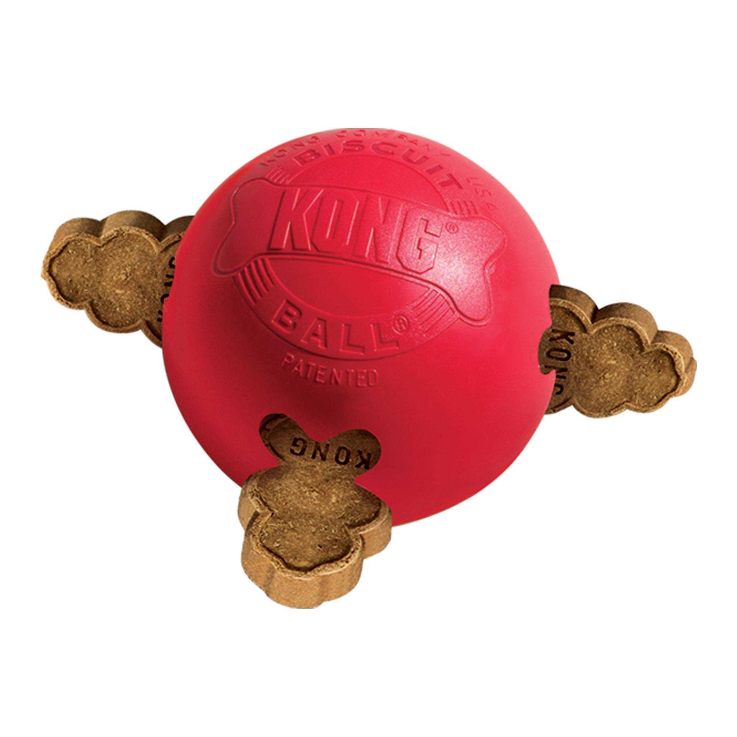 KONG Biscuit Ball Dog Toy - Healthber