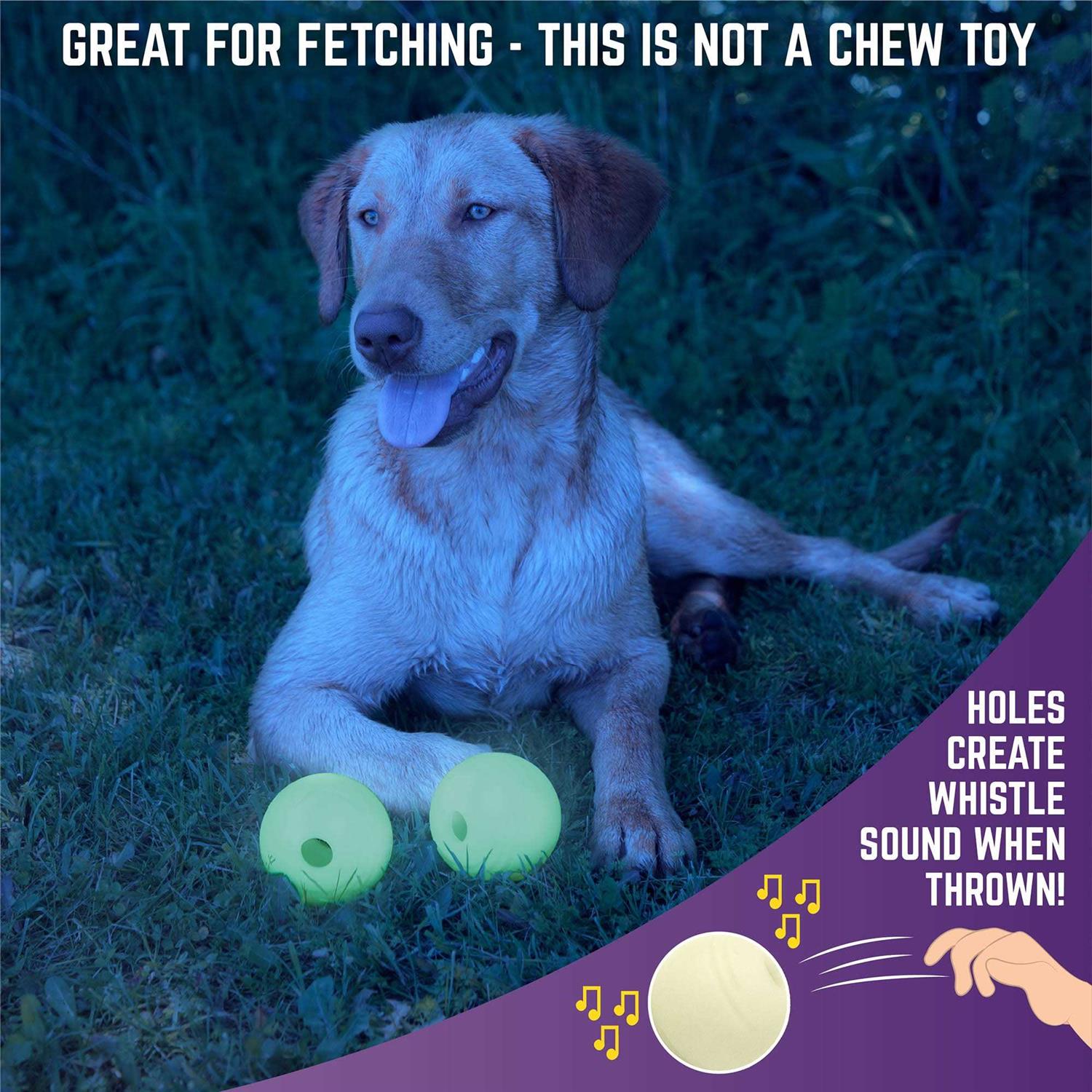 Chew King Glow Ball Dog Toys - Healthber