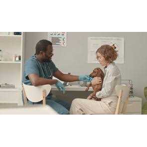 Composure Pro Advanced Calming Supplement for Dogs & Cats - Healthber