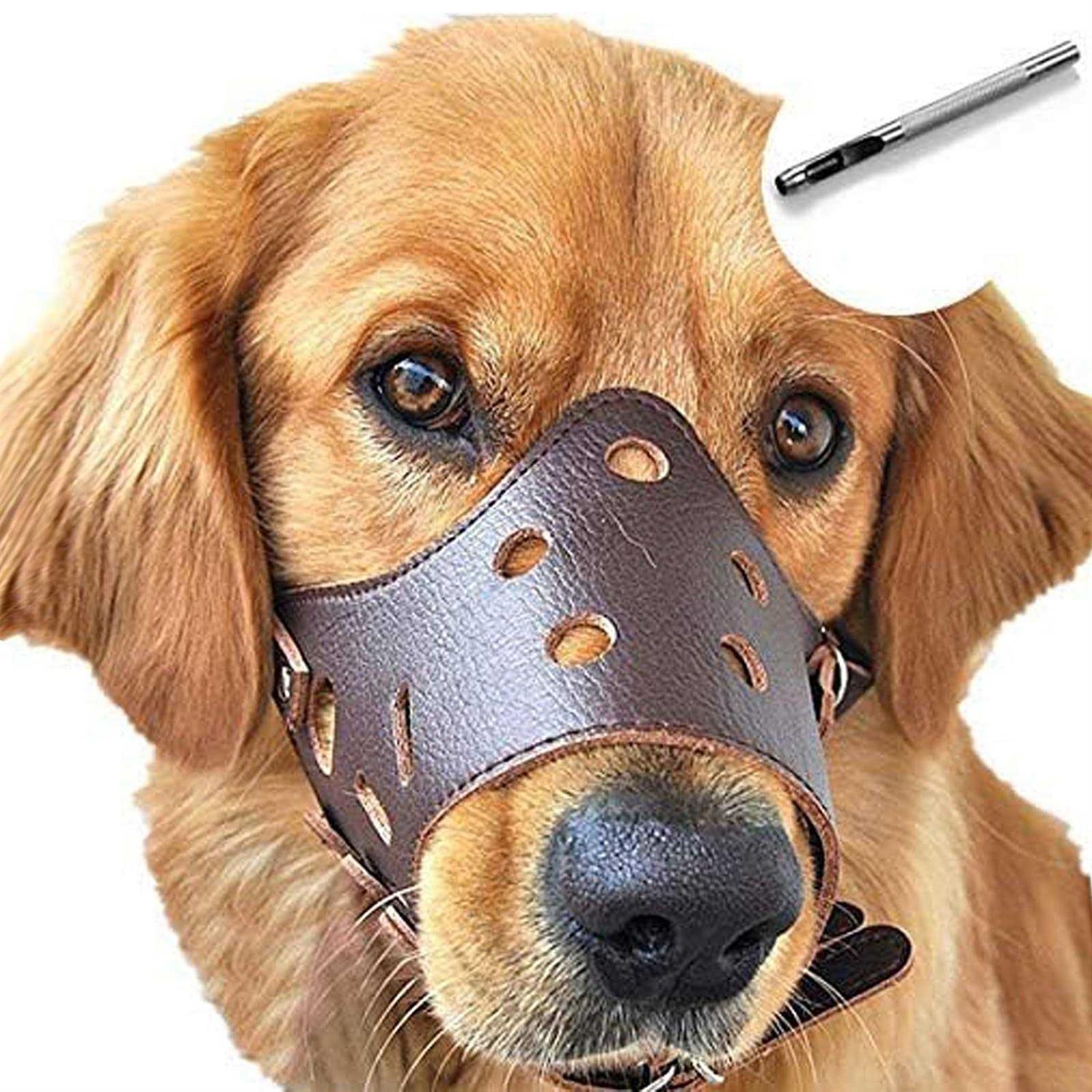 Barkless Dog Muzzle Leather, Comfort Secure Anti-Barking Muzzles For Dog, Breathable And Adjustable, Allows And Eating - Healthber