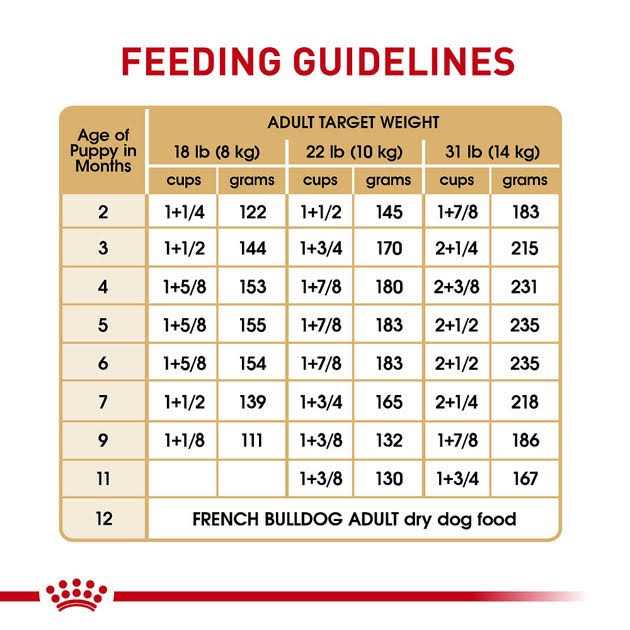 Royal Canin Bulldog Junior - Healthber