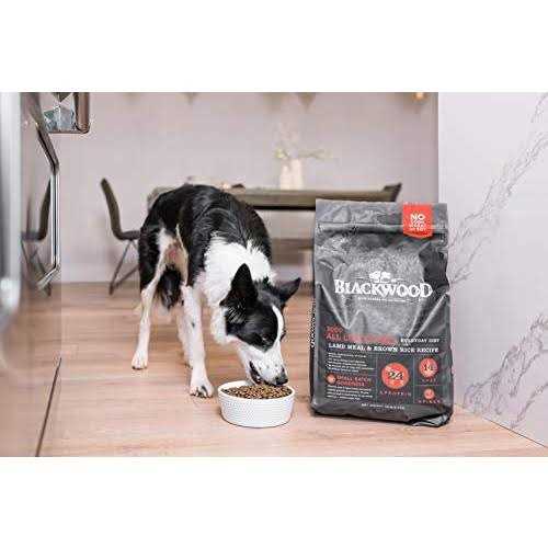 Blackwood All Life Stages Food - Healthber