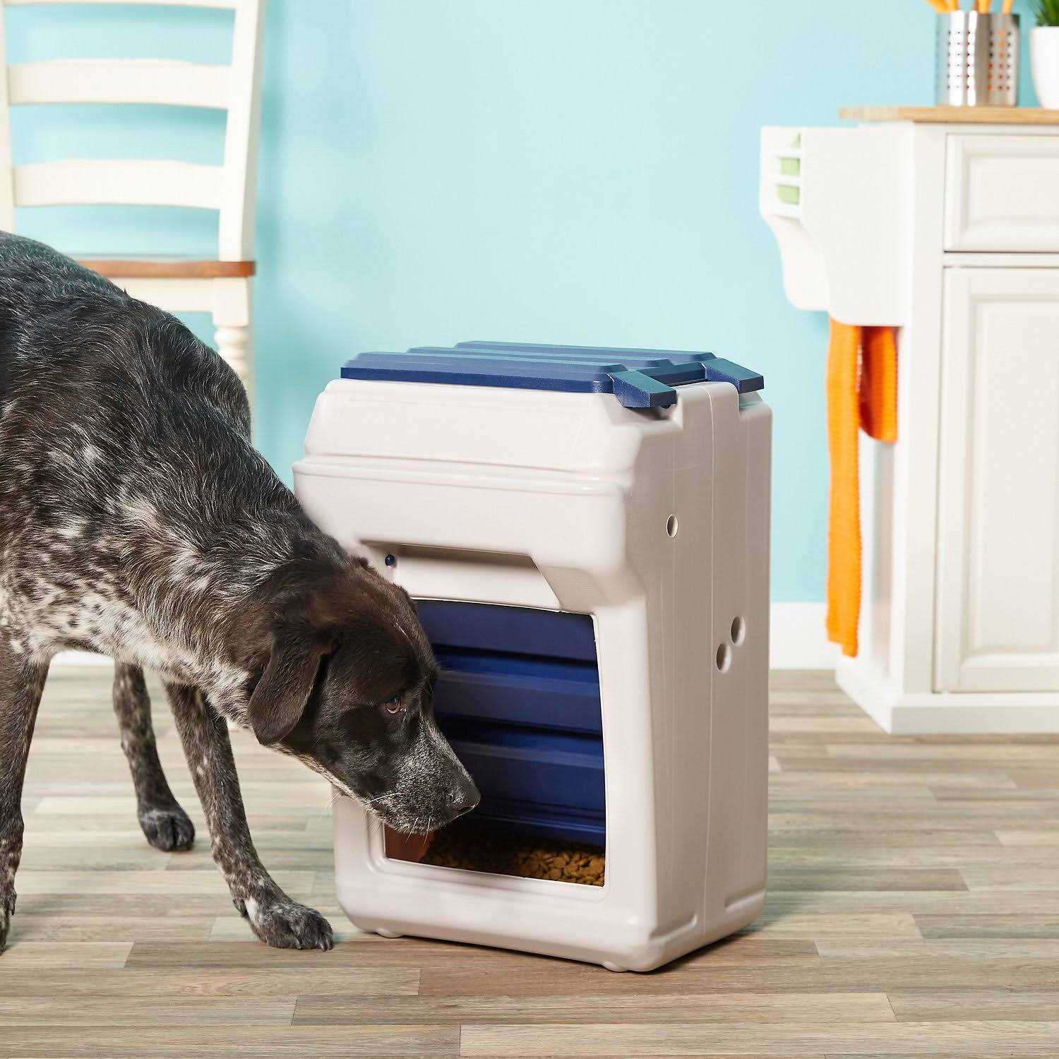 Bergan Aut-O-Dine 25 Pet Feeder - Healthber