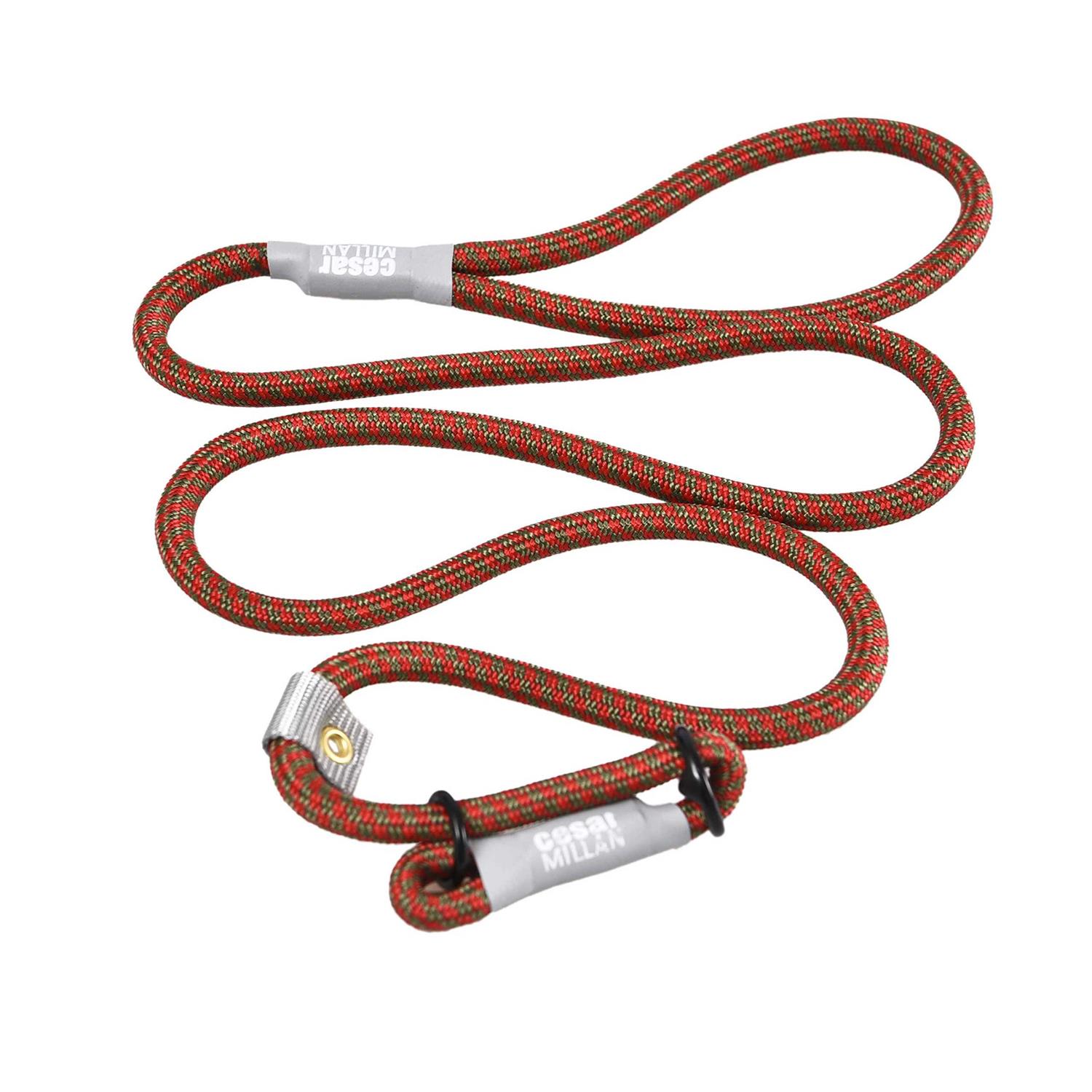 Cesar Millan Slip Lead Leash 2-in-1 Slip Collar Dog Training Lead & Collar - Healthber