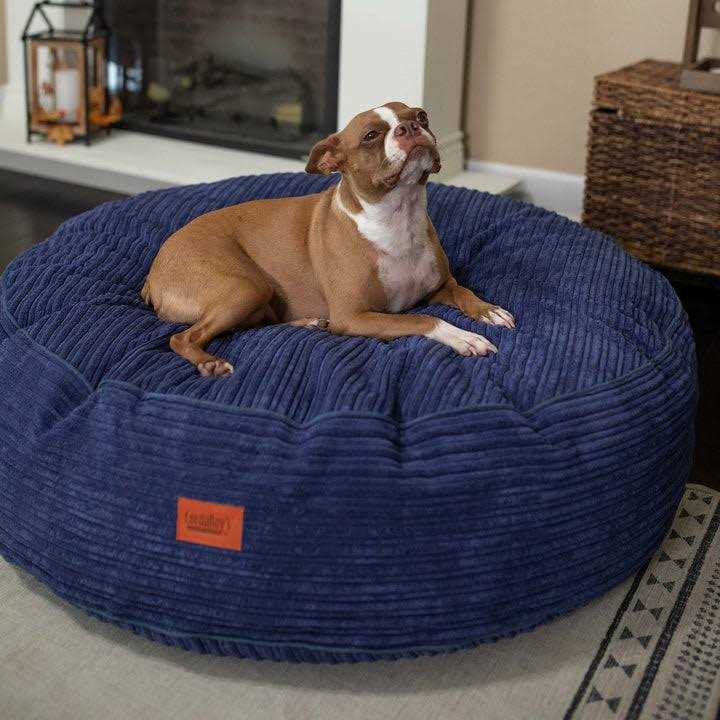 CordaRoy’s Forever Dog Beds Terry Corduroy - Healthber