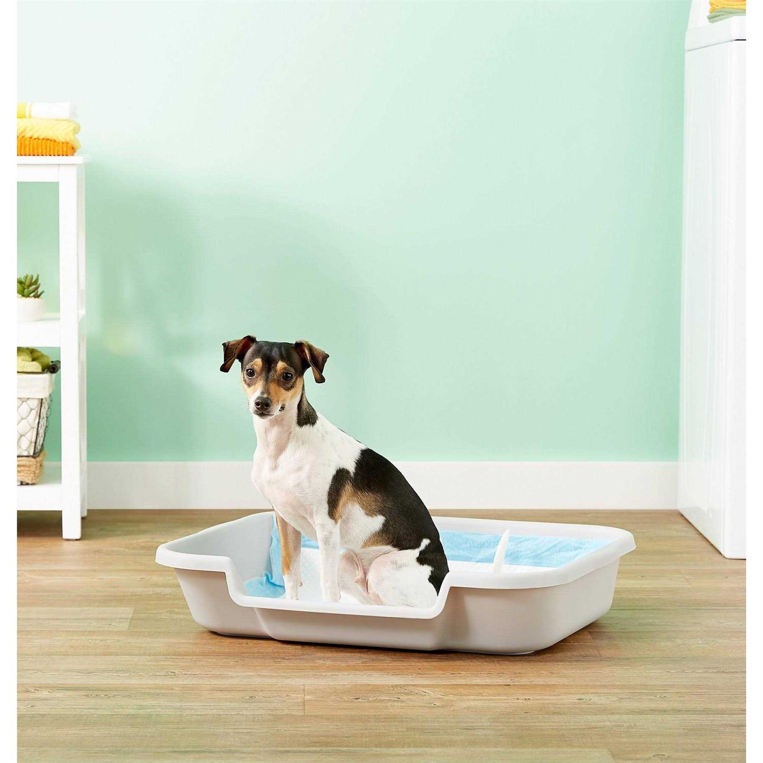 PuppyGoHere Dog Litter Box - Healthber