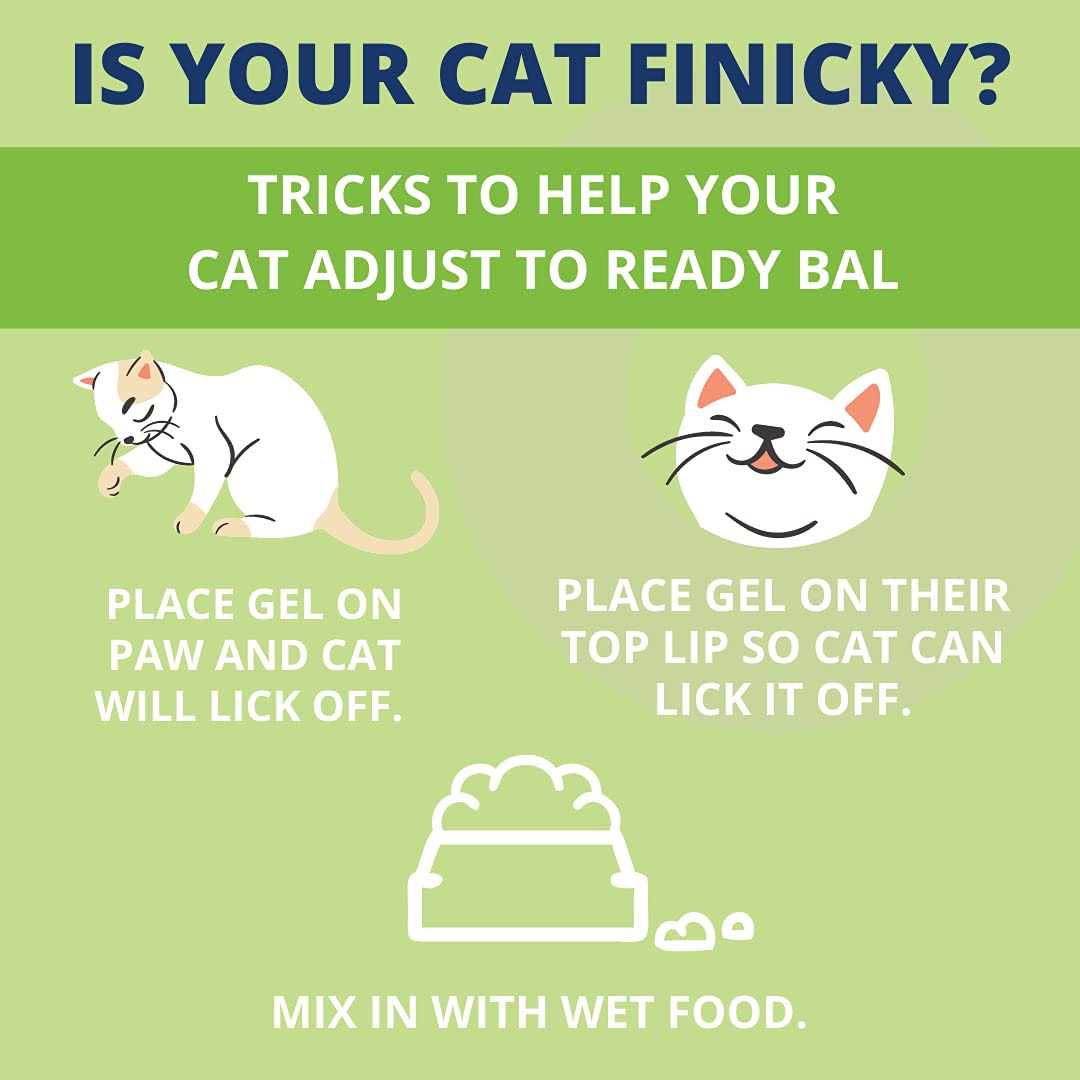 Under the Weather Pet Ready Balance for Cats - Healthber