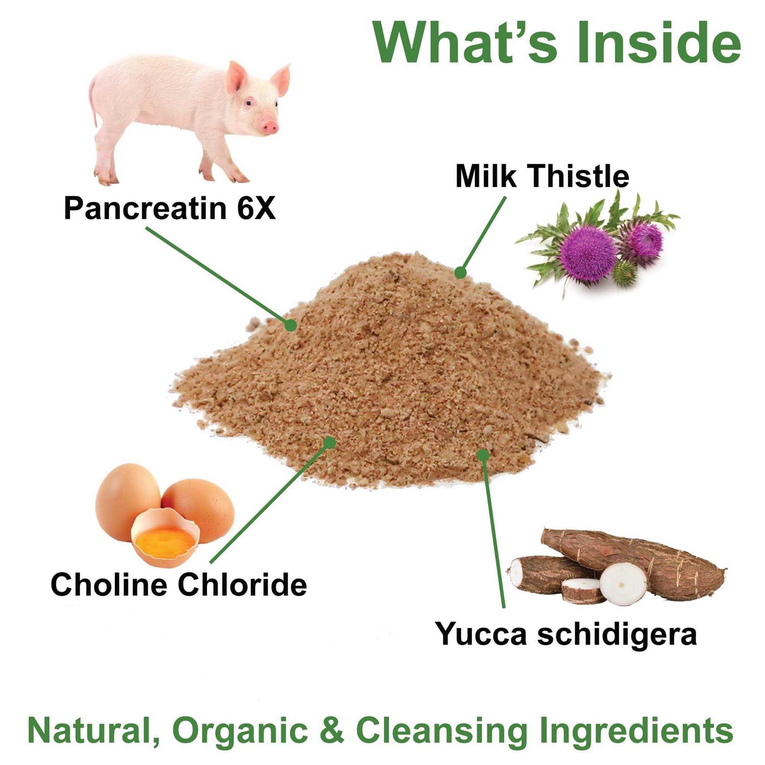 Dogzymes Pancreas Support - Healthber