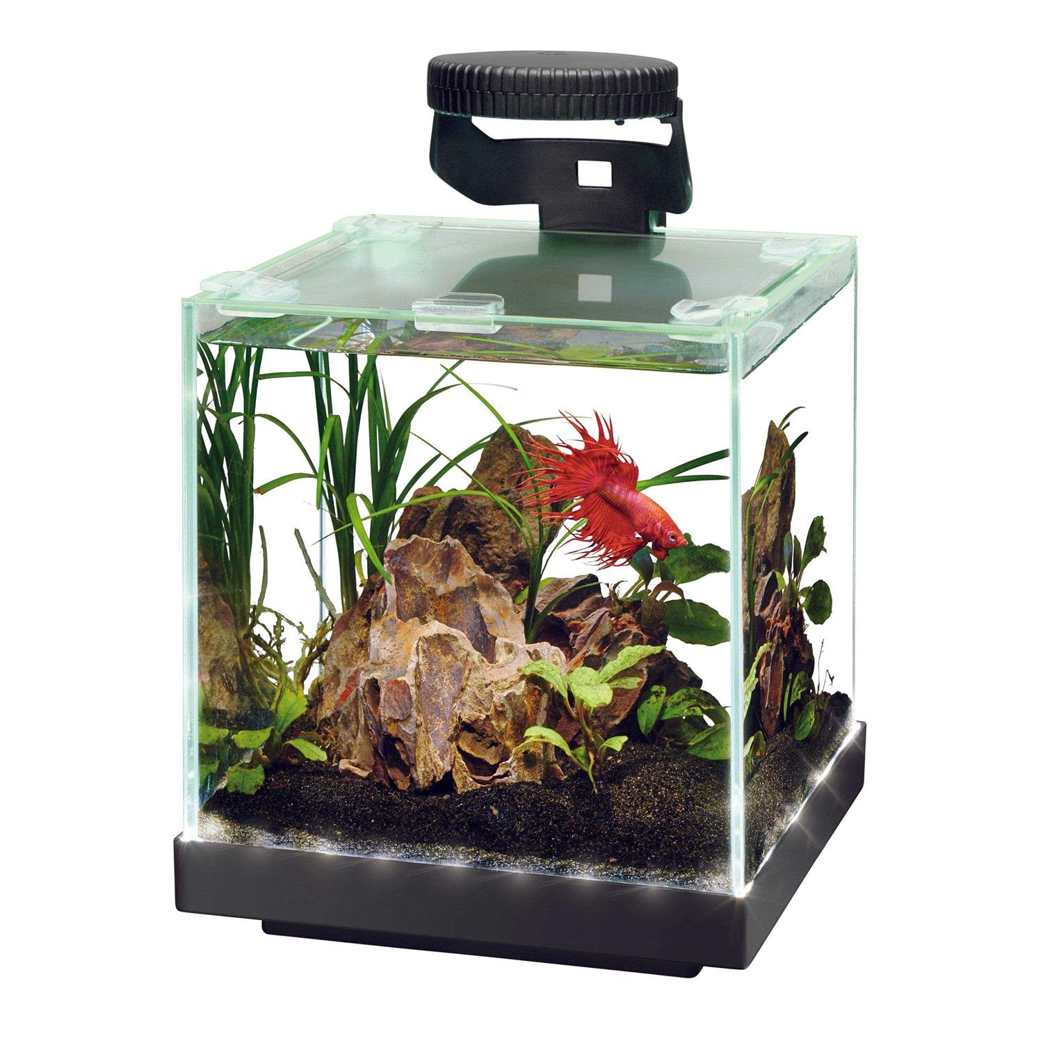 Aqueon Edgelit Cube Aquarium - Healthber