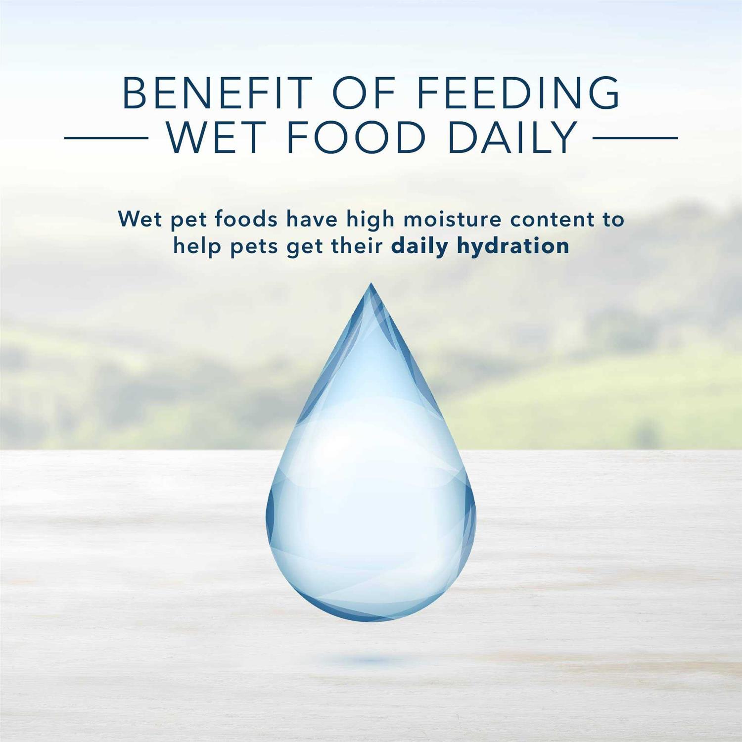 Blue Buffalo Homestyle Recipe Variety Pack Wet Dog Food - Healthber