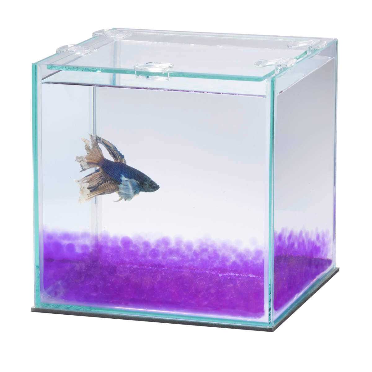 Aqueon Pure Betta Beads - Healthber