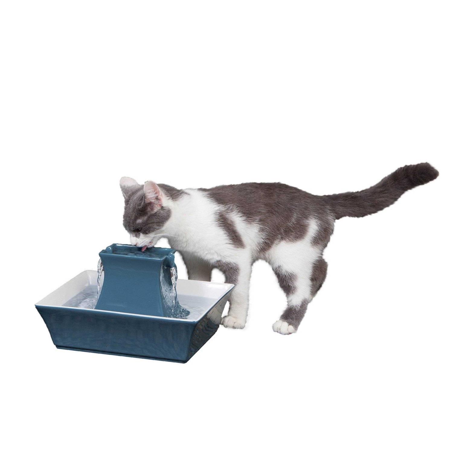 PetSafe Drinkwell Pagoda Fountain - Healthber