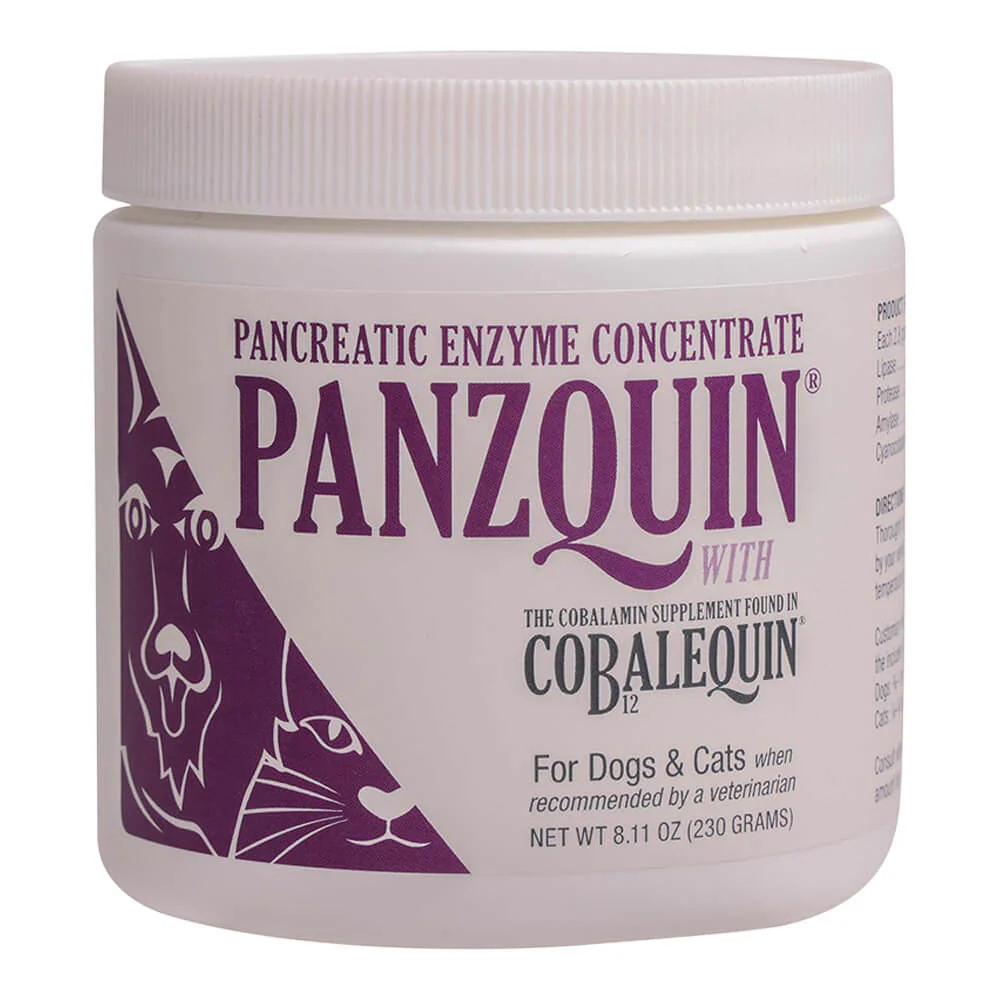 Nutramax Panzquin Powder Pancreatic Supplement for Cats/Sm Dogs, 8.1 oz - Healthber