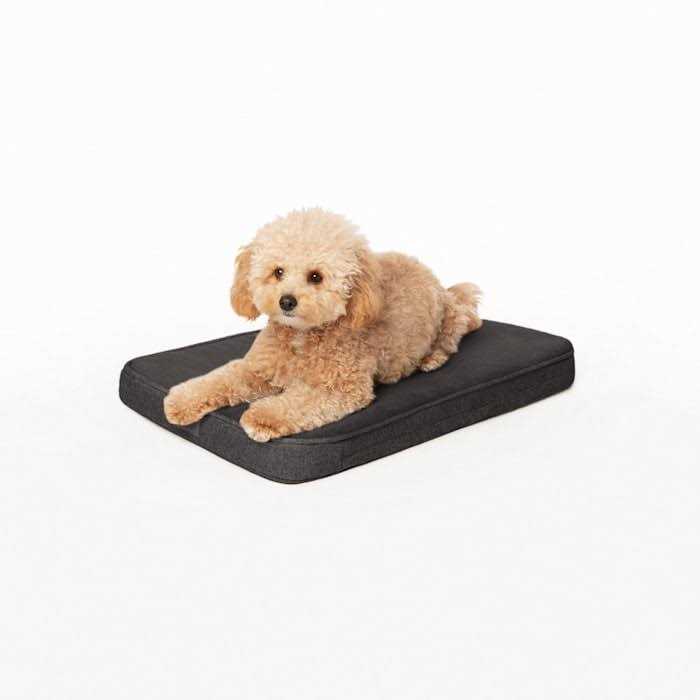 Snooz Memory Foam Crate Pad & Dog Bed Diggs - Healthber