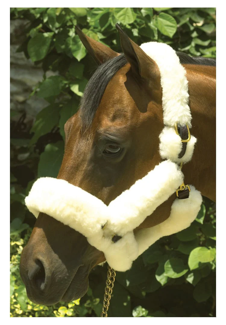 Perri's Genuine Sheepskin Shipping Halter, Havana/Natural - Healthber