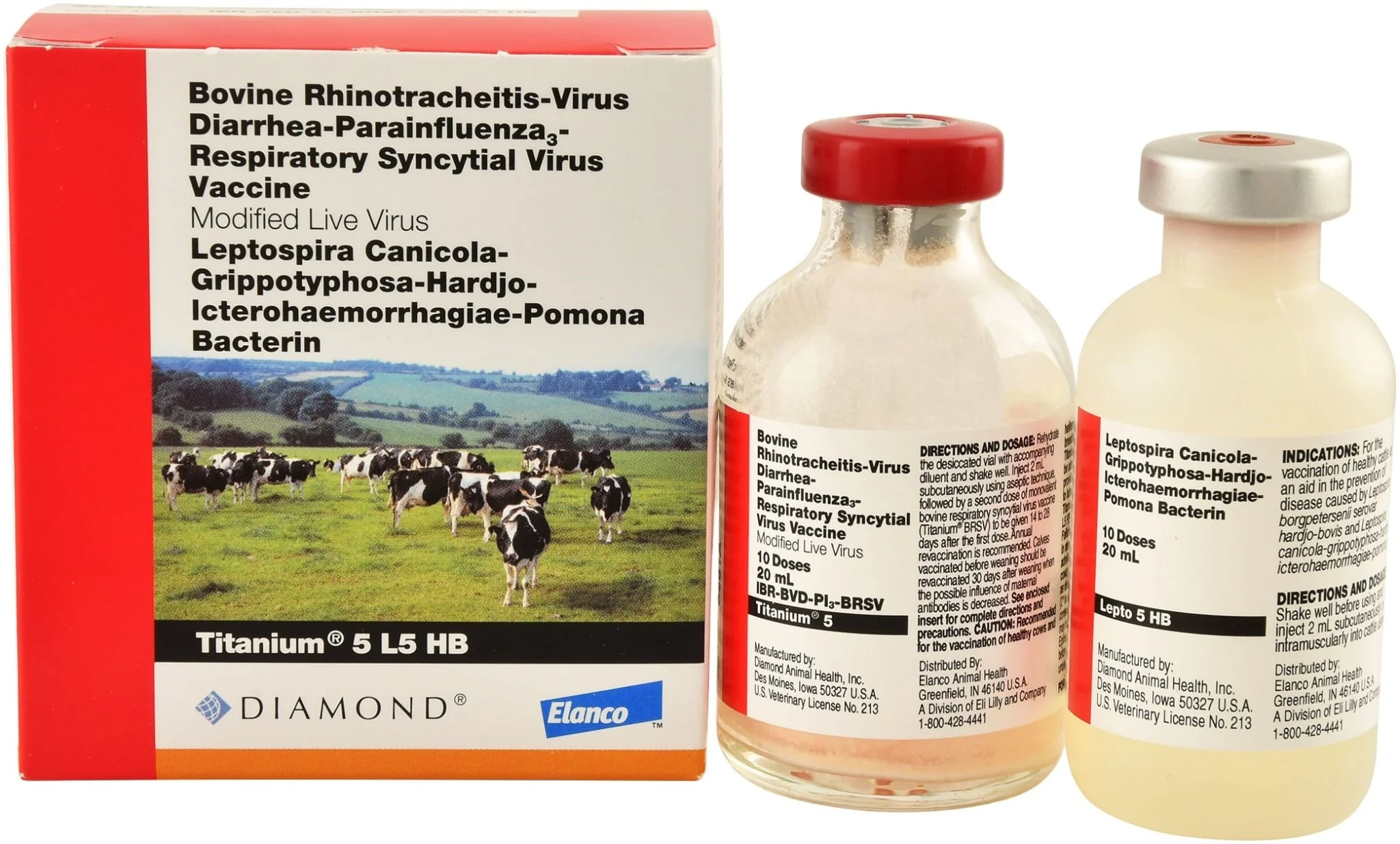 Titanium 5 L5 HB - Healthber