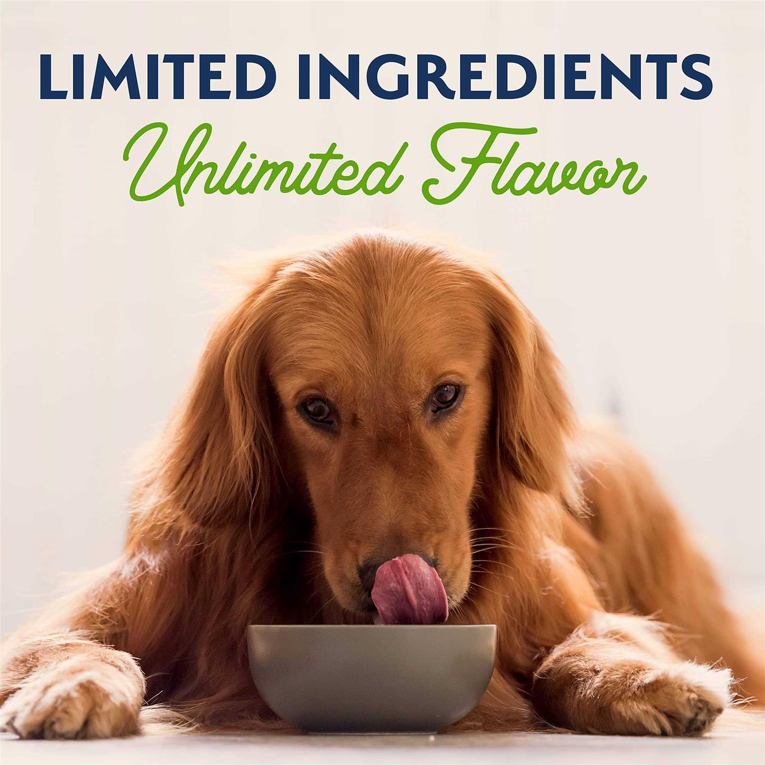 Natural Balance Dog Food Vegetarian Formula - Healthber