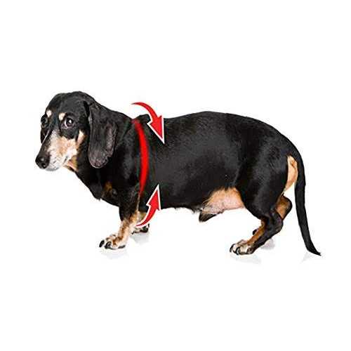Buddy Belts Buddy Harness Pebble Grain - Healthber