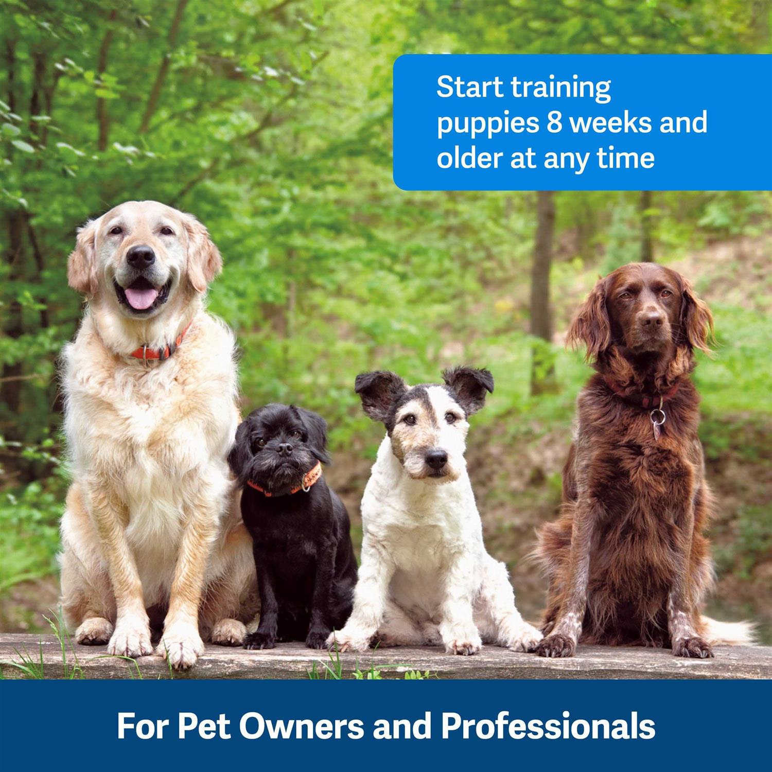 PetSafe Clik-R Dog Training Clicker - Healthber
