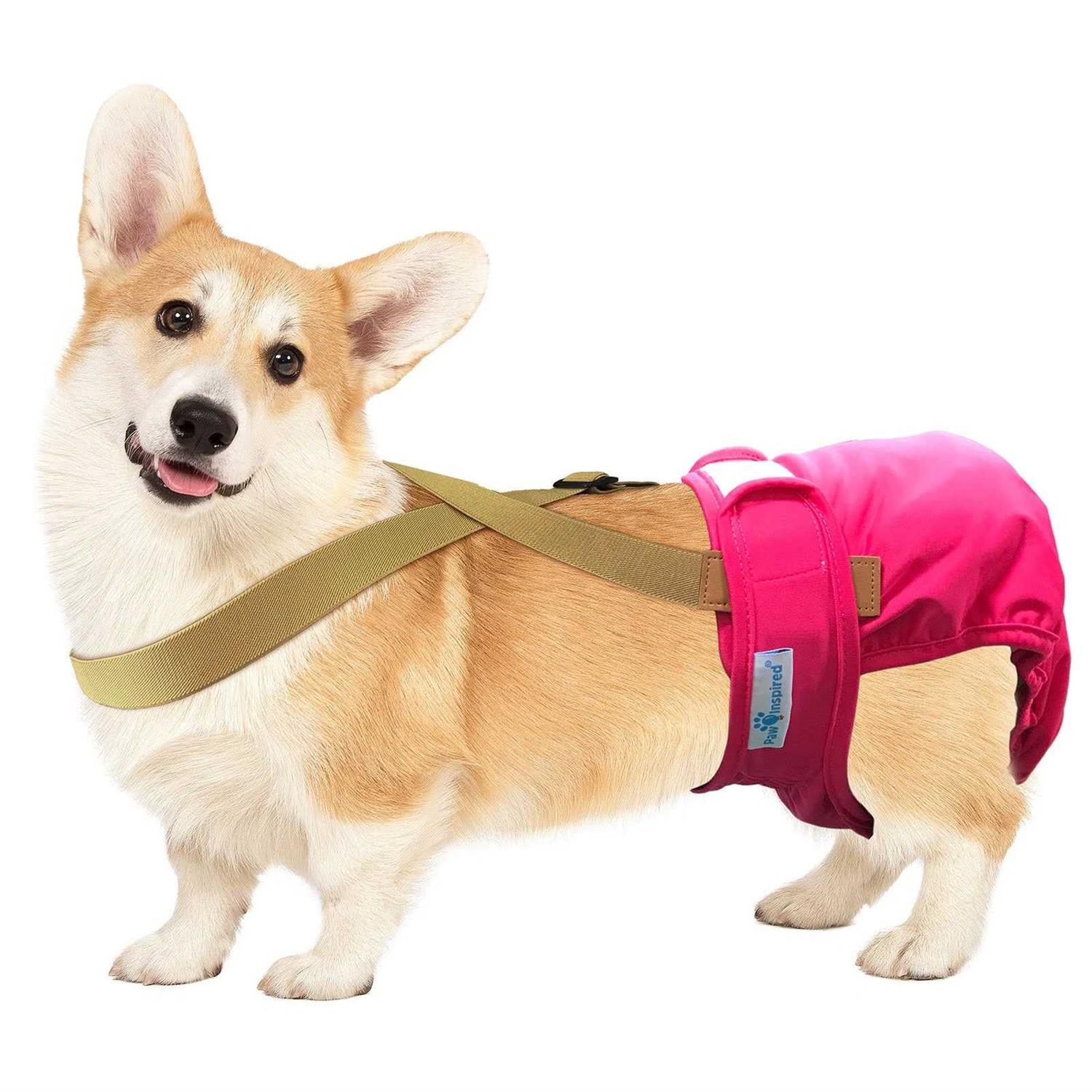 Paw Inspired Dog Diaper Suspenders - Healthber