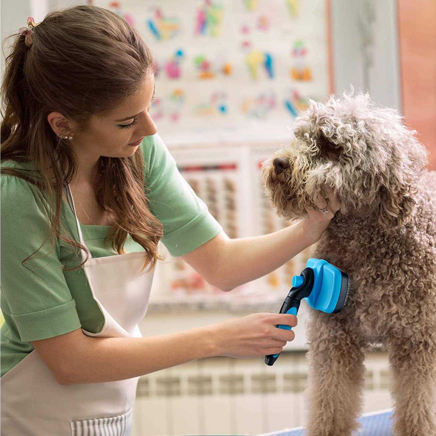 Boshel Dog Slicker Brush Self Cleaning Brush Cat & petslicker Brush for Detangling Hair - Healthber
