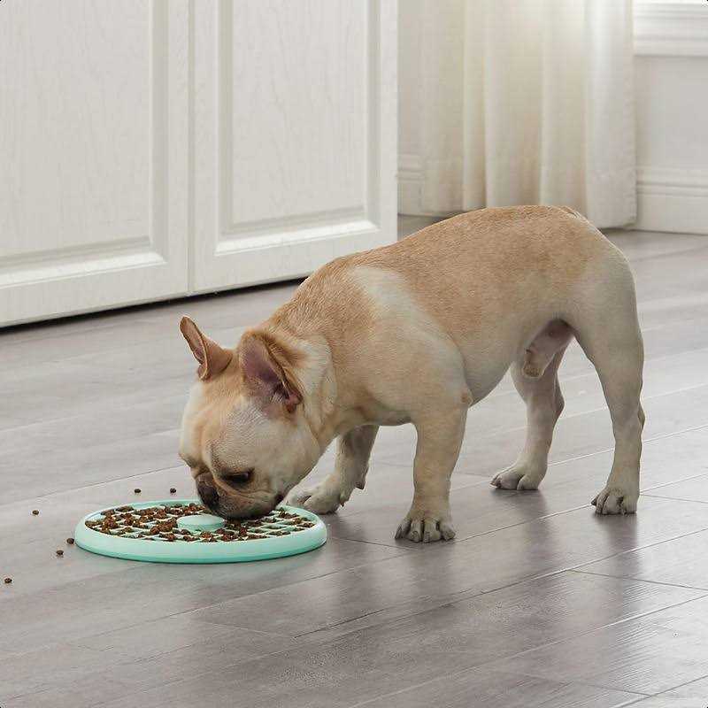 Outward Hound Fun Feeder Slo Tray Slow Feeder Dog Bowl - Healthber