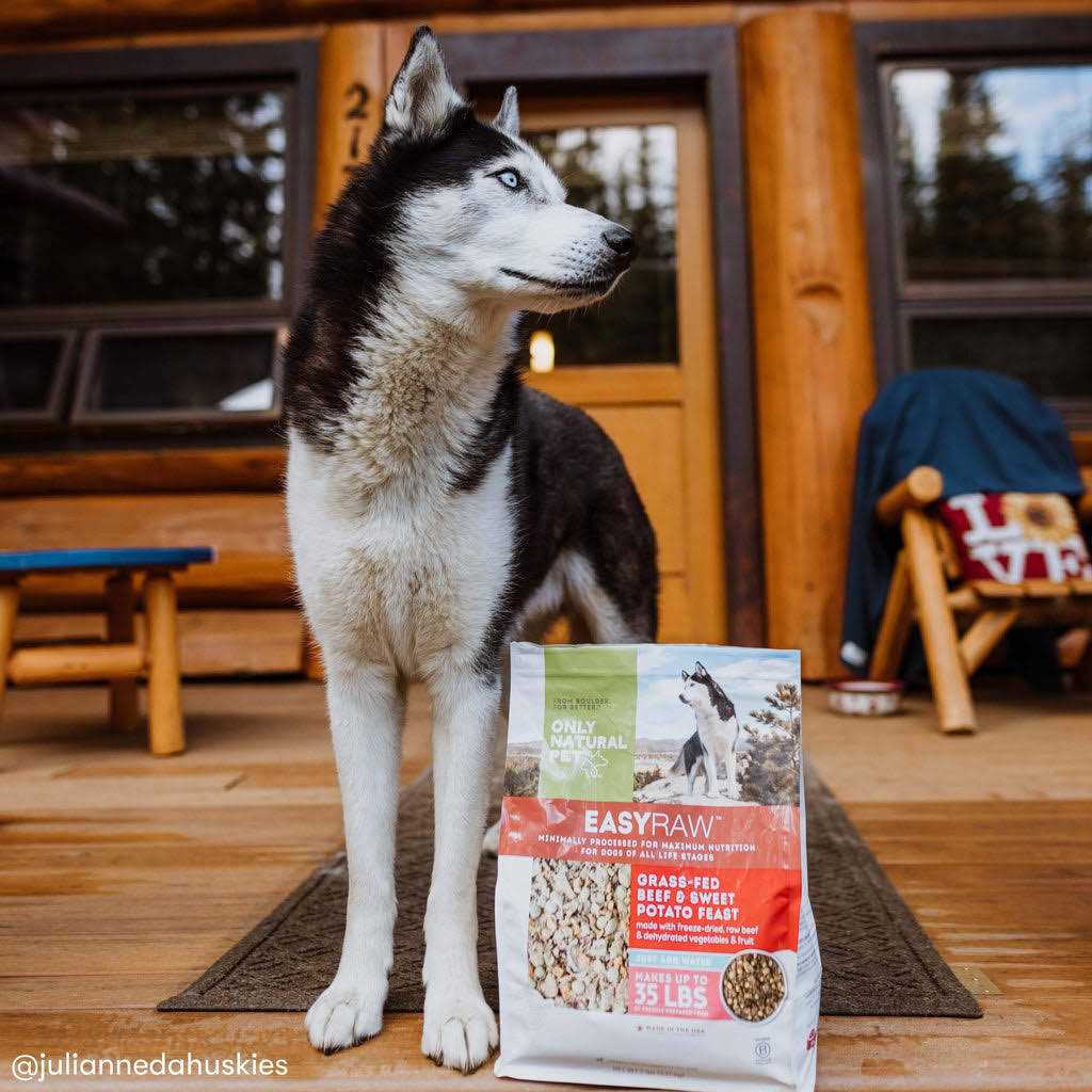 EasyRaw Grass-Fed Beef with Sweet Potato Feast Dehydrated Dog Food - Healthber