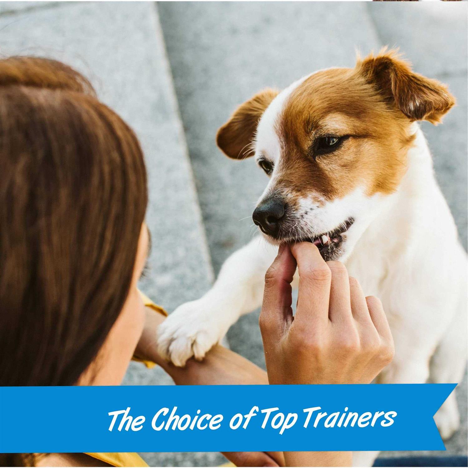 Pet Botanics Mini Training Dog - Healthber