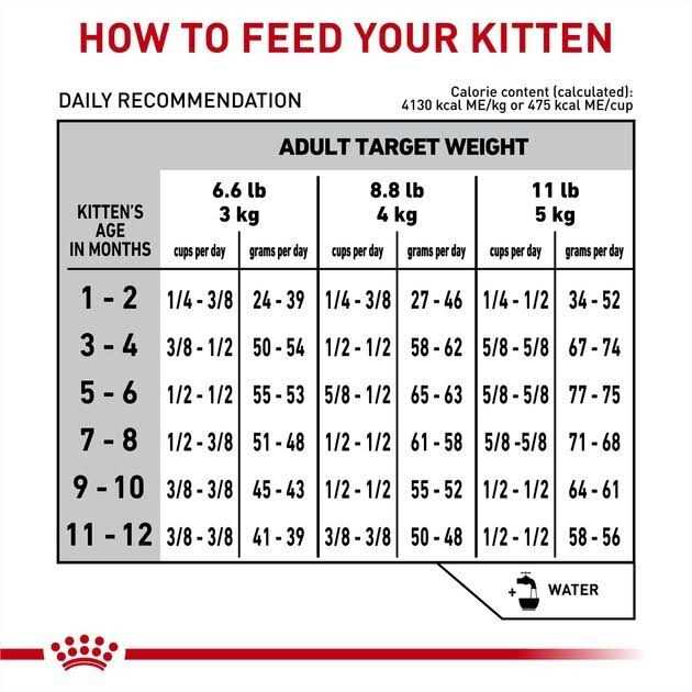 Royal Canin Veterinary Diet Feline Gastrointestinal Kitten Dry Cat Food - Healthber