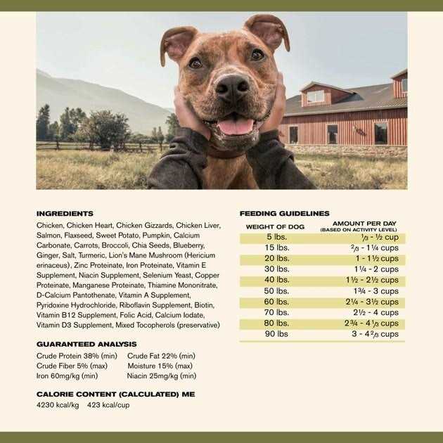 Badlands Ranch Superfood Complete Air Dried Chicken Dog Food - Healthber