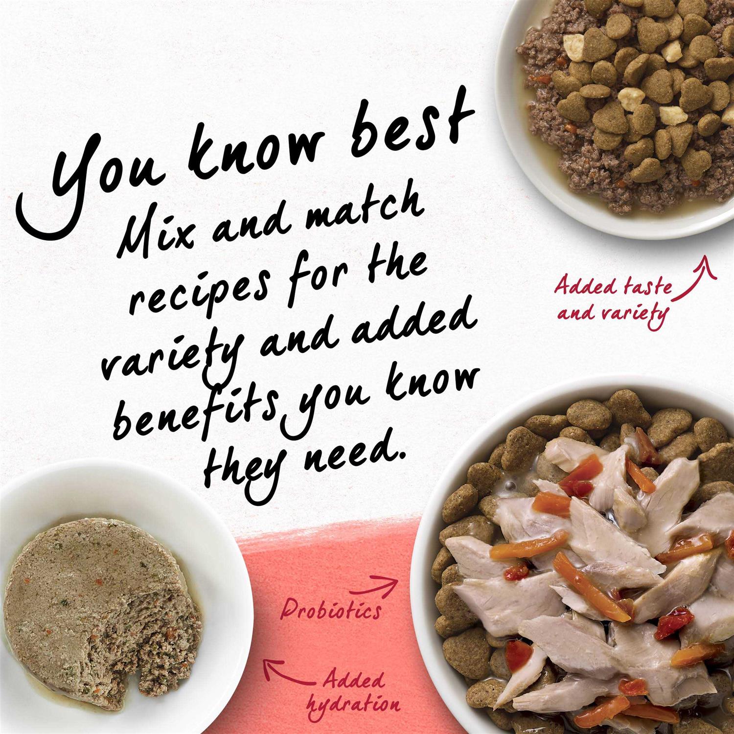 Purina Beyond Cat Dry Food - Healthber