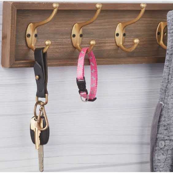 Vibrant Life Reflective Dog Collar - Healthber
