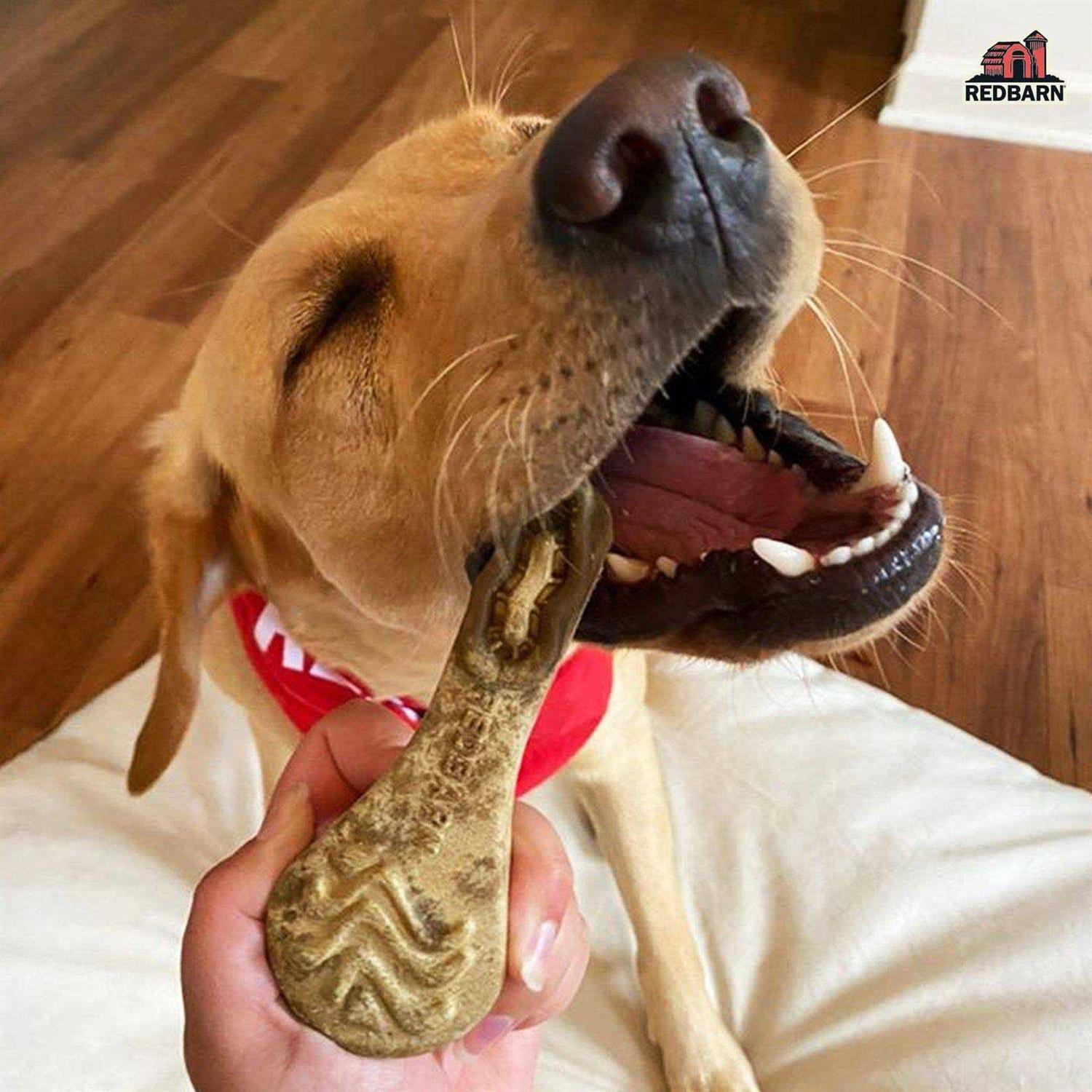 Redbarn Chew-A-Bulls Brush Dental Dog - Healthber