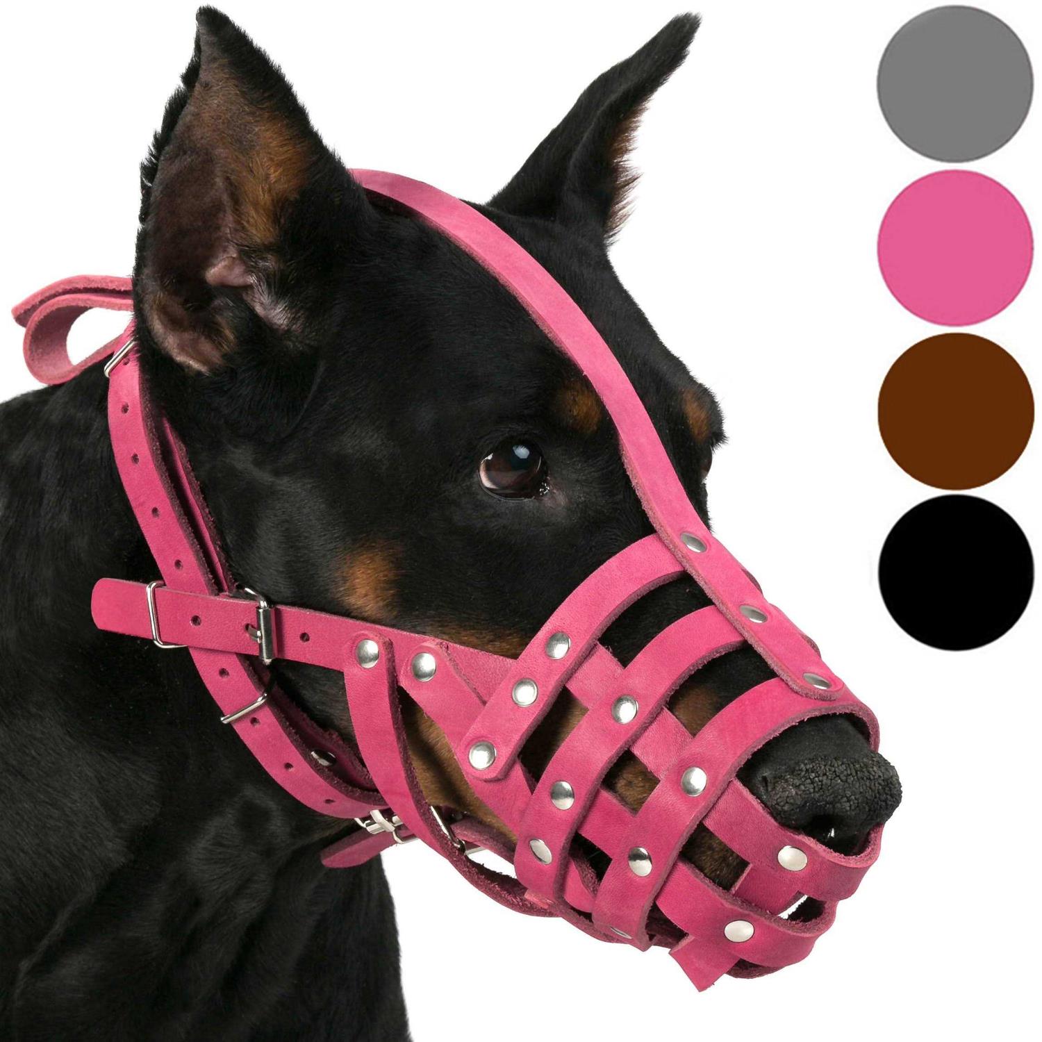 CollarDirect Dog Muzzle German Shepherd Dalmatian Doberman Setter Leather Basket Medium Large Breeds - Healthber