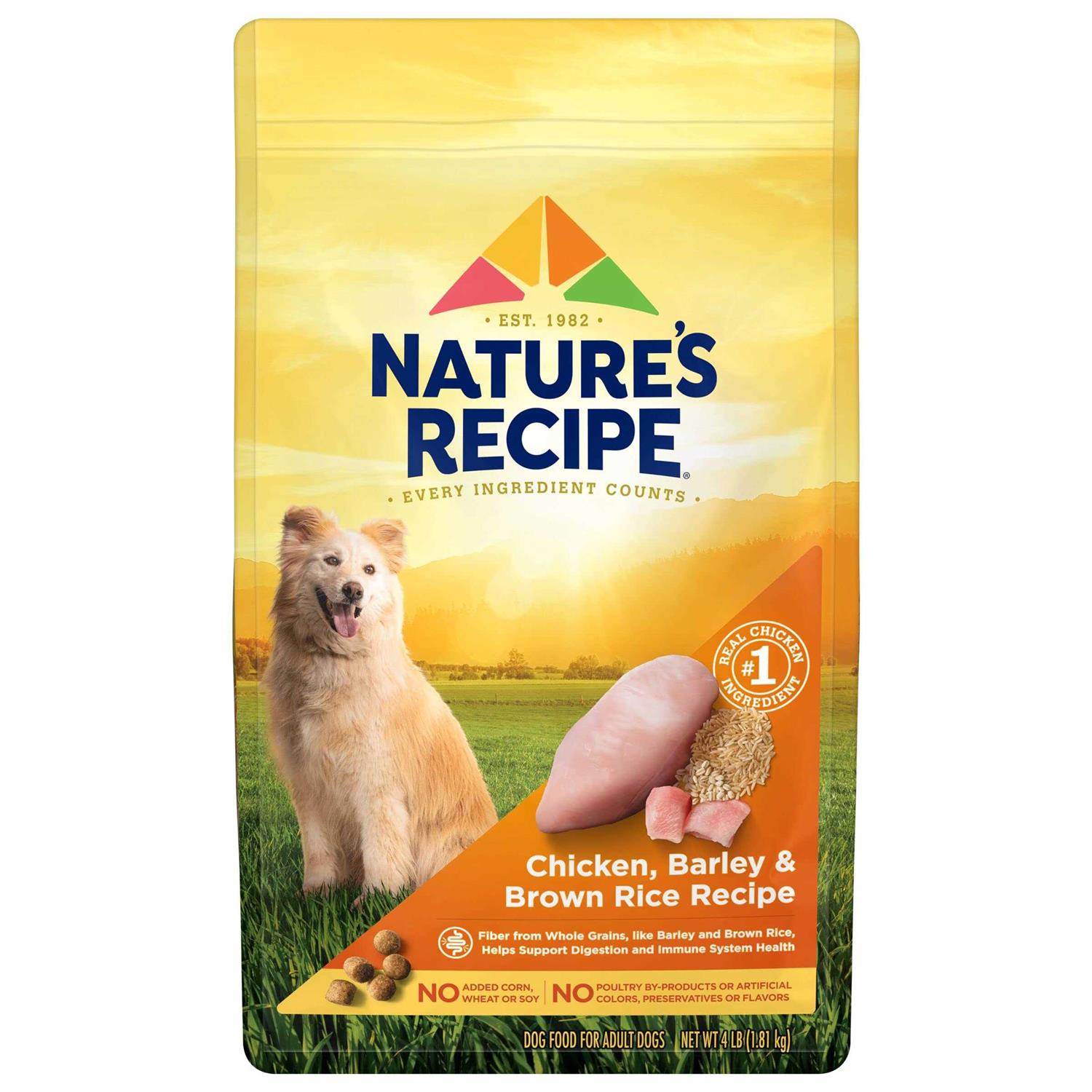 Nature’s Recipe Adult Chicken & Rice Recipe Dry Dog Food - Healthber