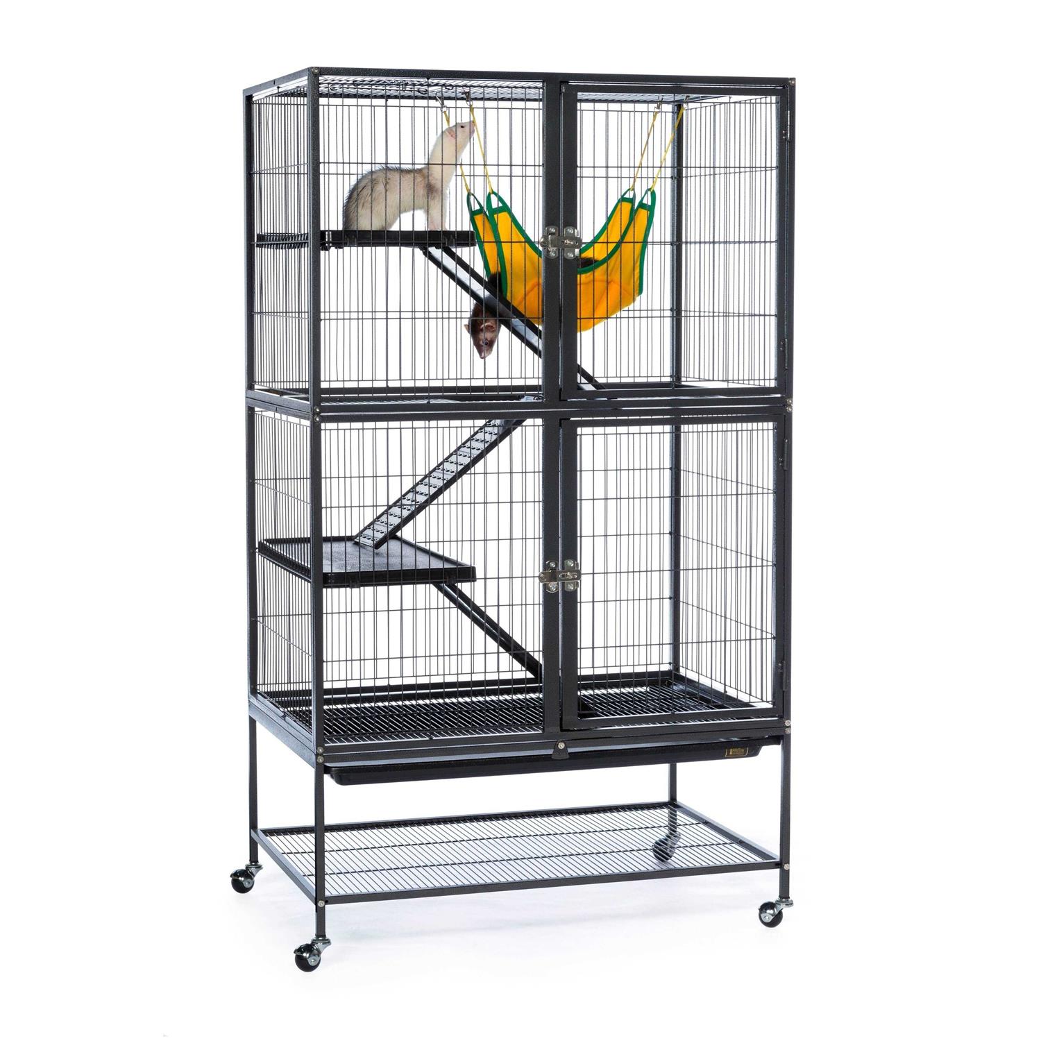 Prevue Feisty Ferret Home - Healthber
