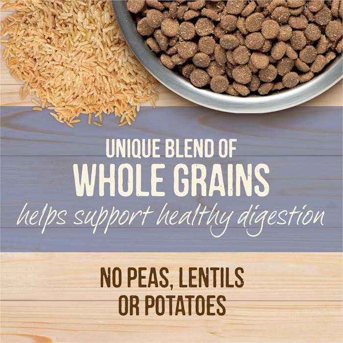 Merrick Healthy Grains Freeze Dried Raw Coated Kibble Dry Dog Food Puppy Recipe - Healthber